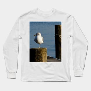 Wary Gull Long Sleeve T-Shirt